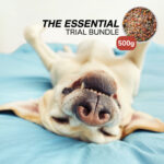 500g Essential Trial Bundle Cover