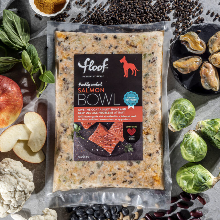 Kidney Care Salmon (200g/500g) FLooF