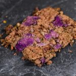 Closeup BEEF Freeze Dried Piece