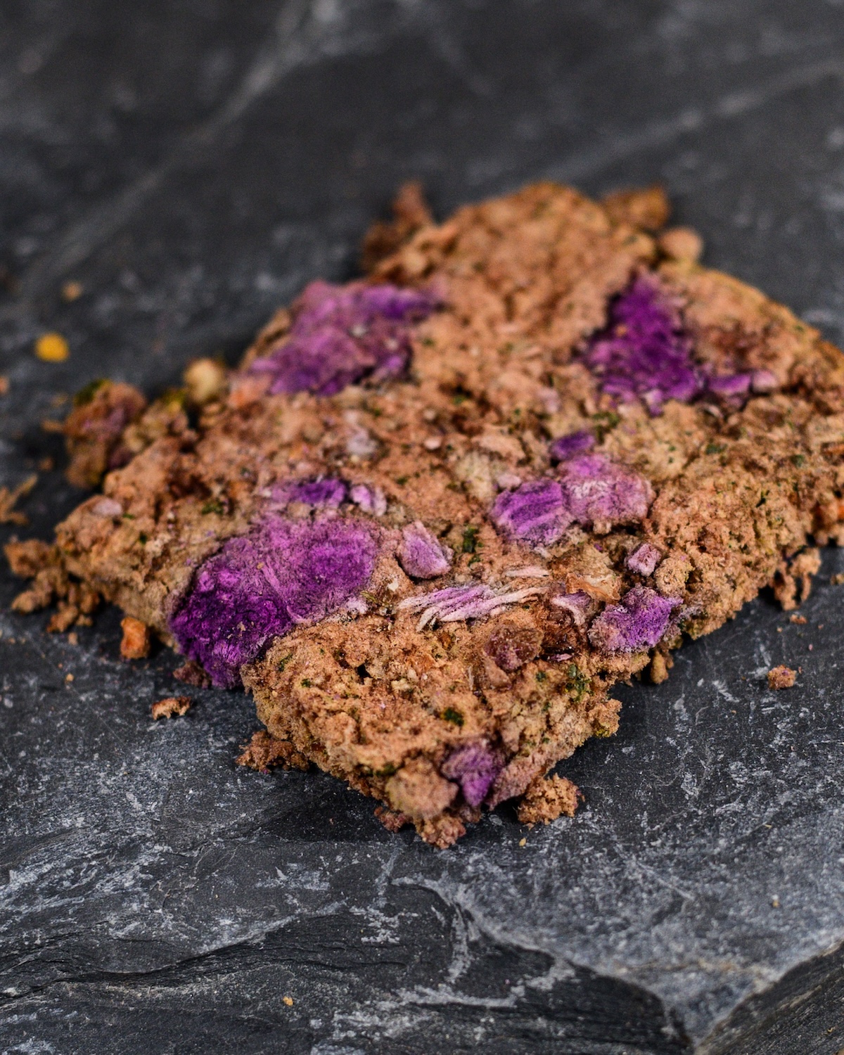 Closeup BEEF Freeze Dried Piece
