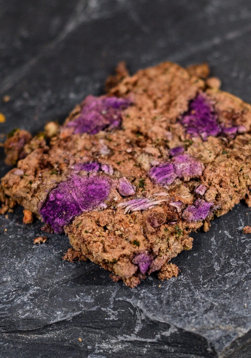 Closeup BEEF Freeze Dried Piece